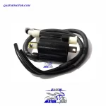 کوئل ns200 دو فیش اصلی