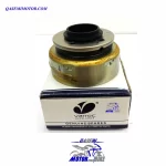 فلکه برق پالس 220