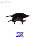 کاور جلوی پیشانی کلیک