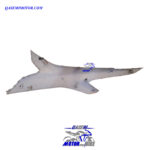 کاور ایکس زیر زین آیروکس نیوفیس سمت راست